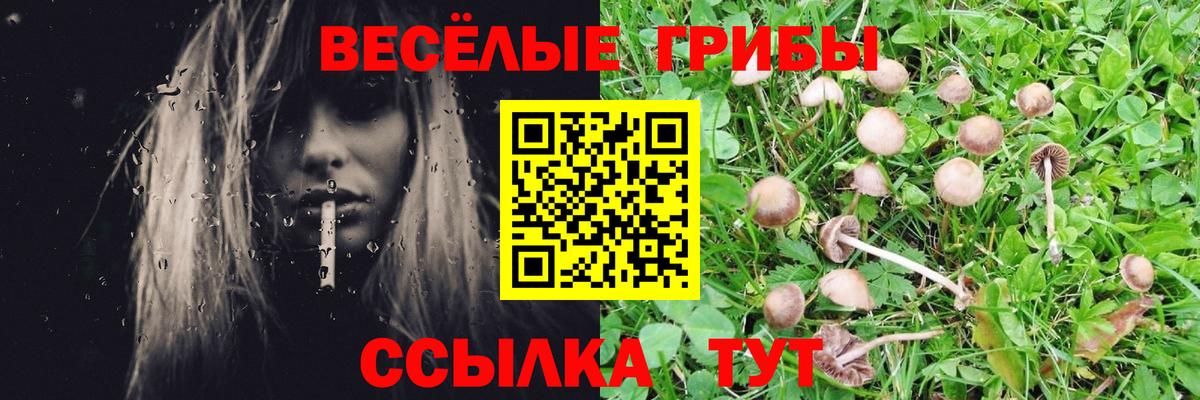 Псилоцибиновые грибы мицелий Рузаевка